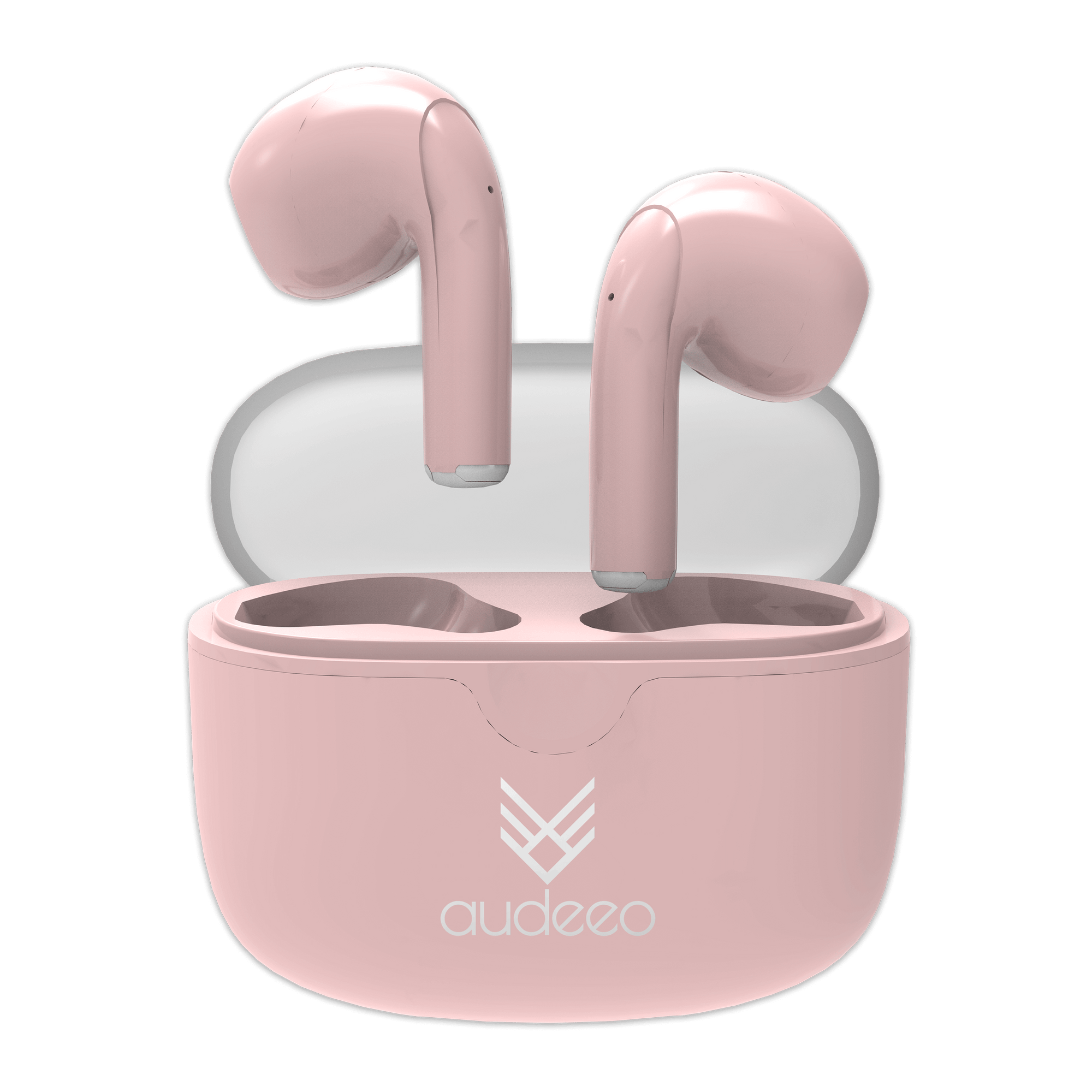 earbuds Audeeo
